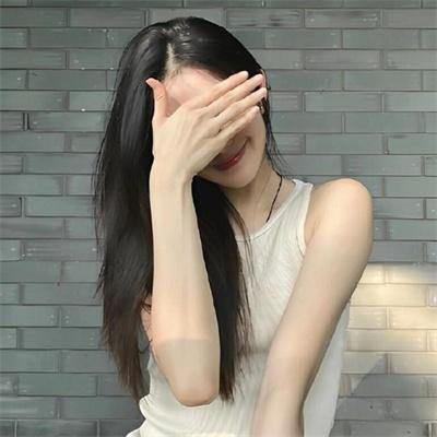 我的朋友是萌鲨